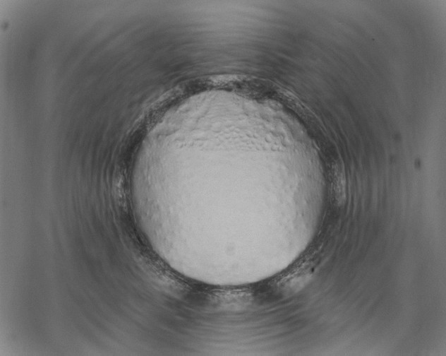 X0000068840619200605261642