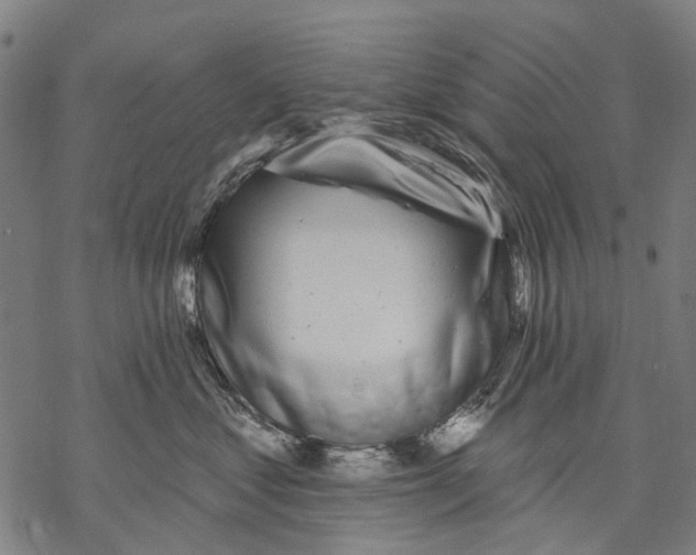 X0000068840621200605261642