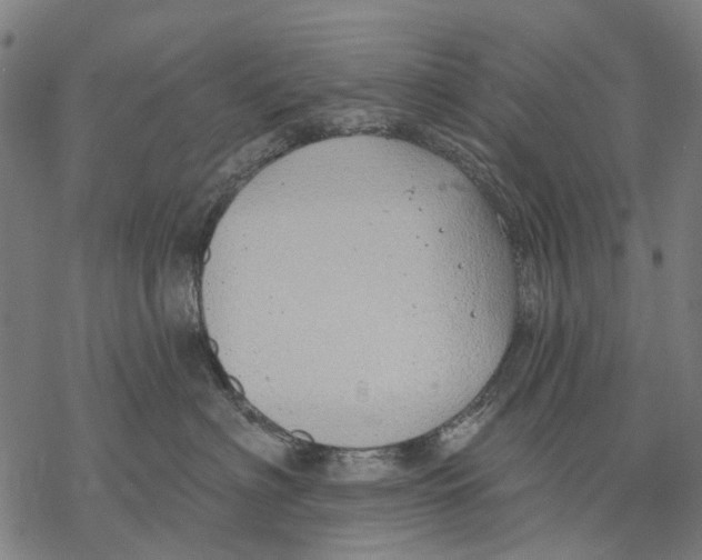 X0000068840622200605261642