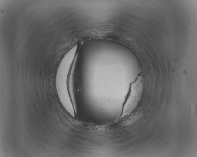 X0000068840624200605261642