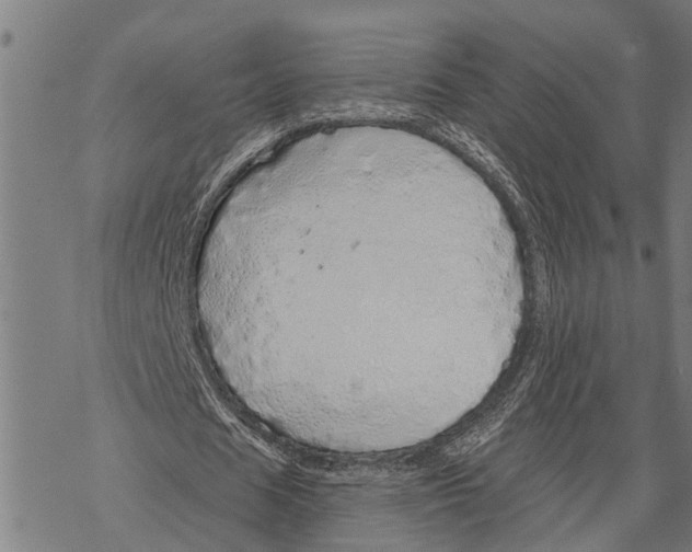 X0000068840625200605261641