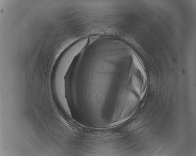 X0000068840626200605261641