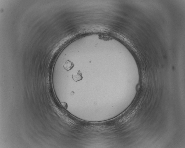 X0000068840629200605261641