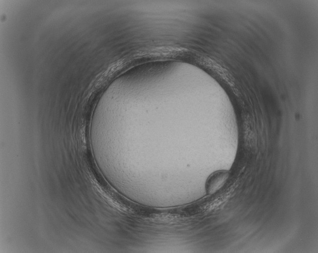 X0000068840633200605261641