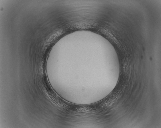 X0000068840635200605261641