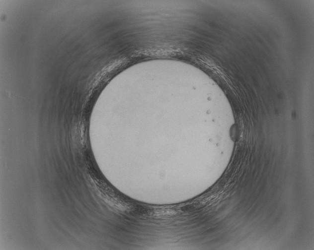 X0000068840636200605261641