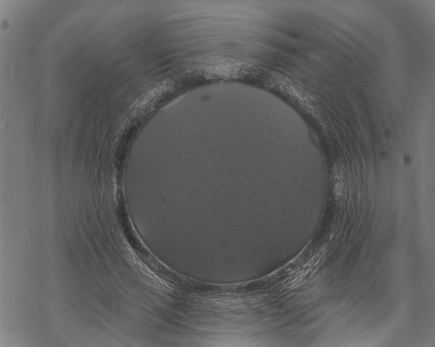 X0000068840637200605261641