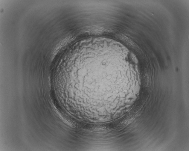 X0000068840638200605261641