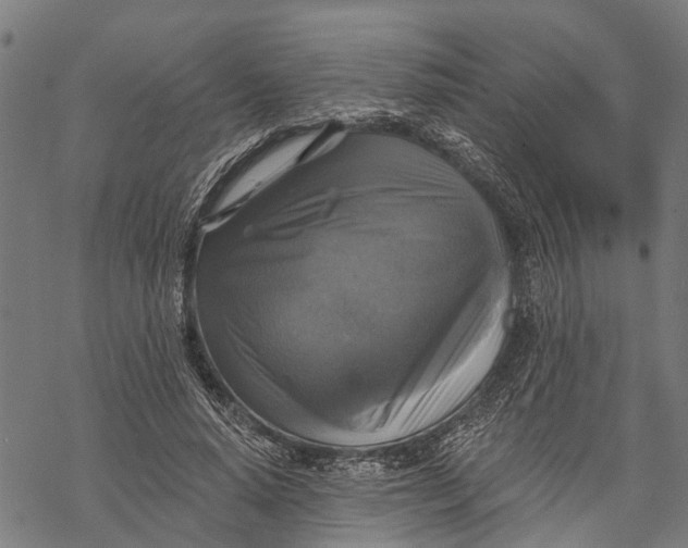 X0000068840640200605261641