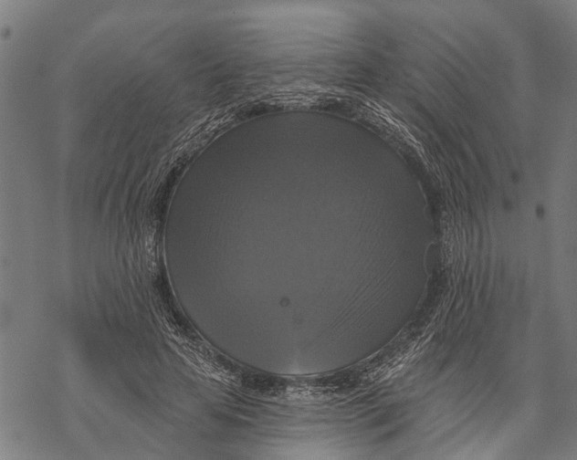 X0000068840641200605261641