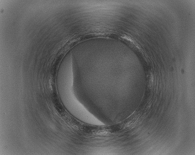 X0000068840643200605261641