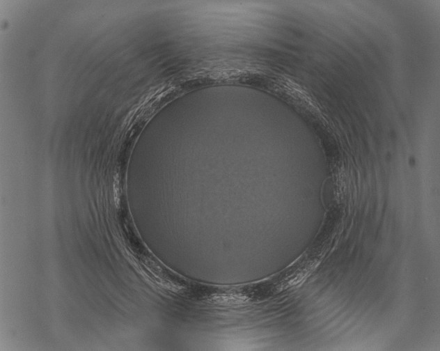 X0000068840644200605261641