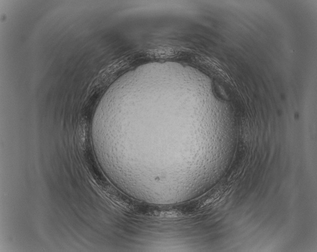 X0000068840645200605261641