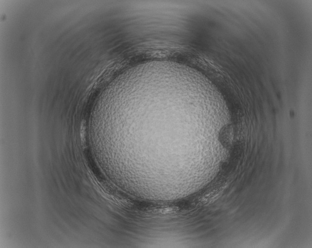 X0000068840646200605261641