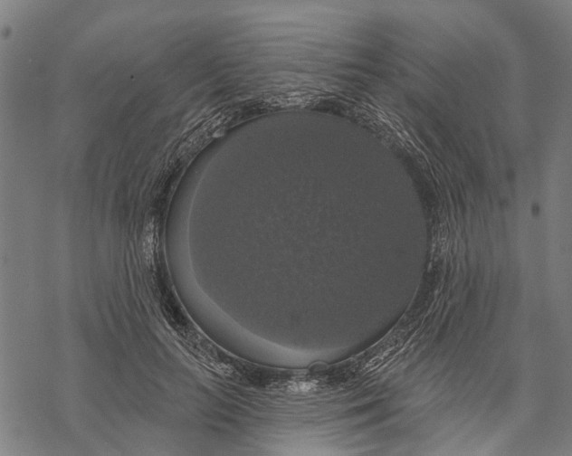 X0000068840647200605261641