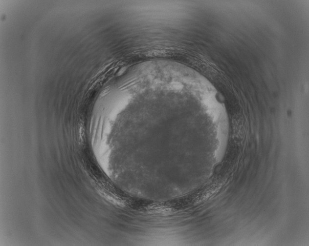 X0000068840648200605261641