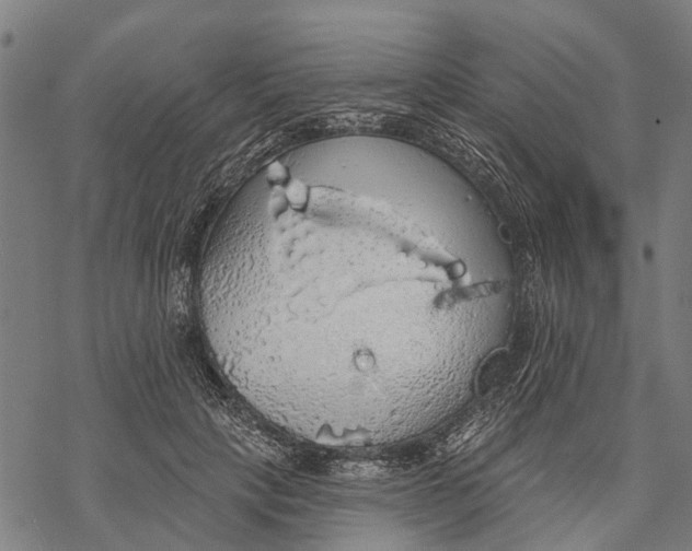 X0000068840649200605261641