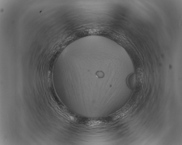 X0000068840650200605261642