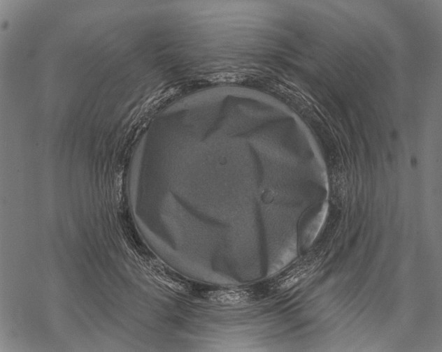 X0000068840652200605261642