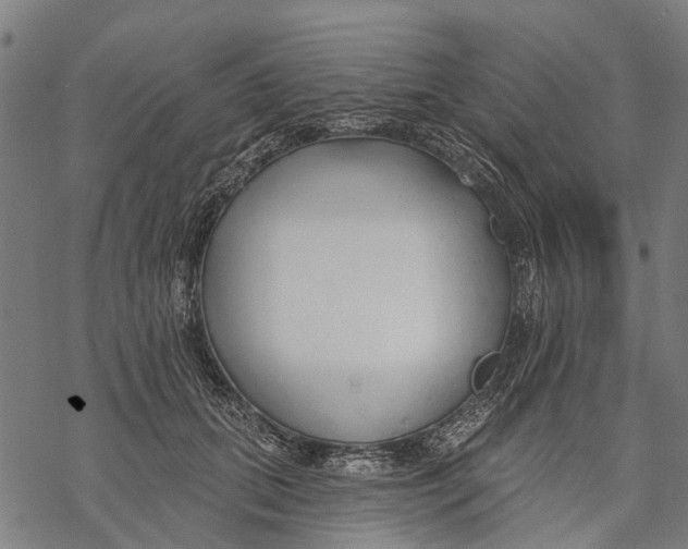 X0000068840655200605261642