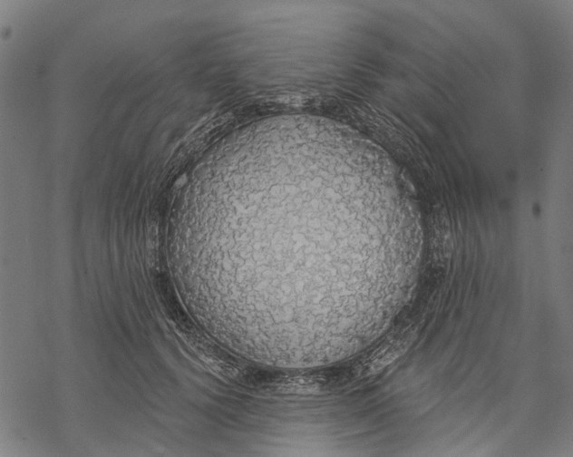 X0000068840656200605261642