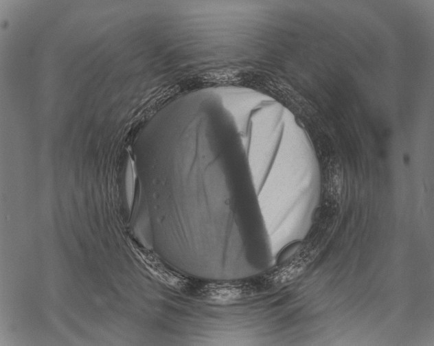 X0000068840658200605261642