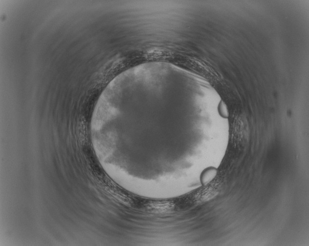 X0000068840659200605261642