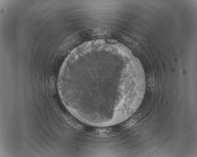 X0000068840662200605261642