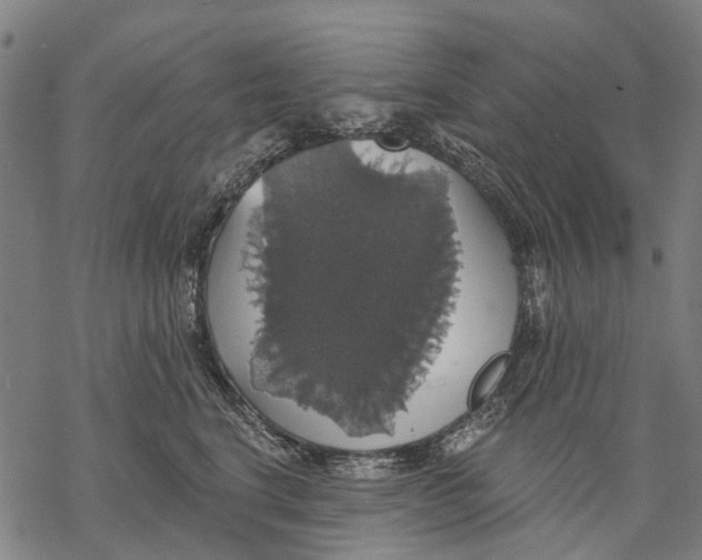 X0000068840664200605261642