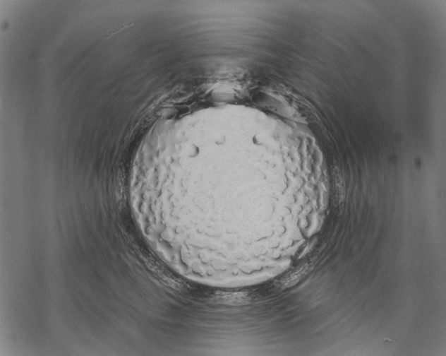 X0000068840665200605261642