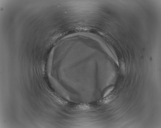 X0000068840668200605261642