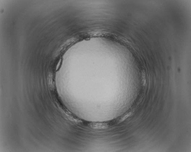 X0000068840670200605261642