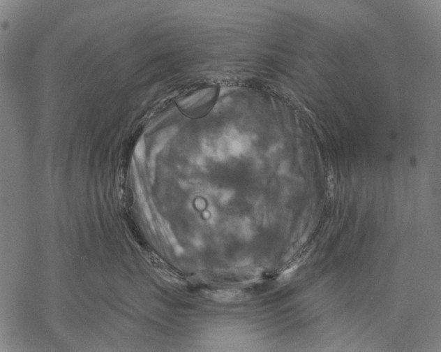 X0000068840671200605261642