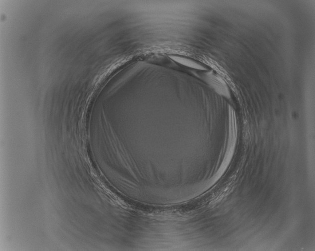 X0000068840673200605261641