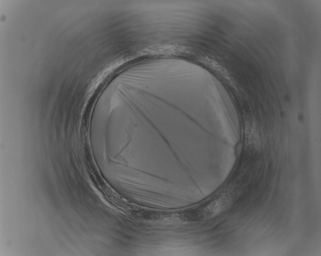 X0000068840674200605261641