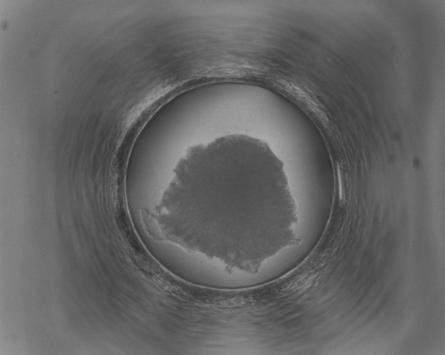 X0000068840675200605261641