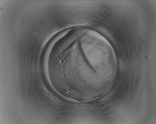 X0000068840676200605261641