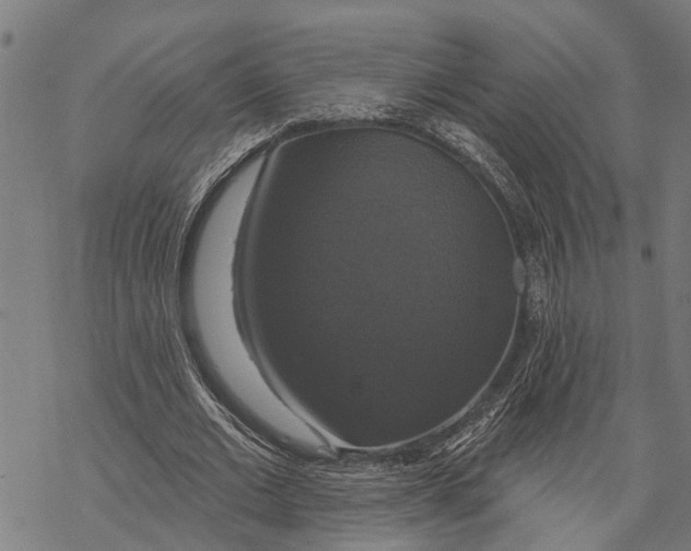 X0000068840677200605261641