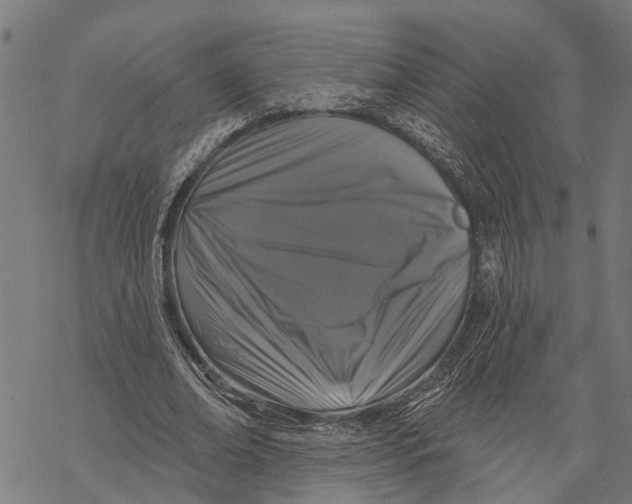 X0000068840678200605261641