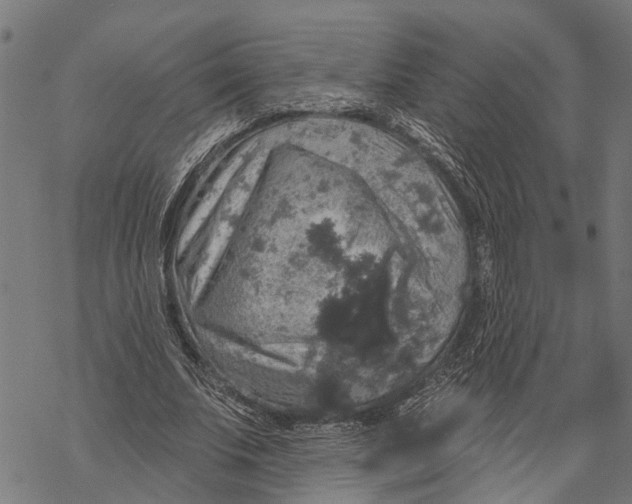 X0000068840679200605261641