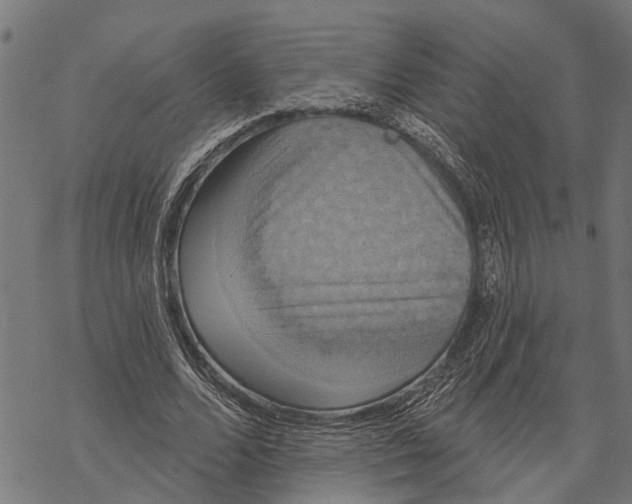 X0000068840680200605261641