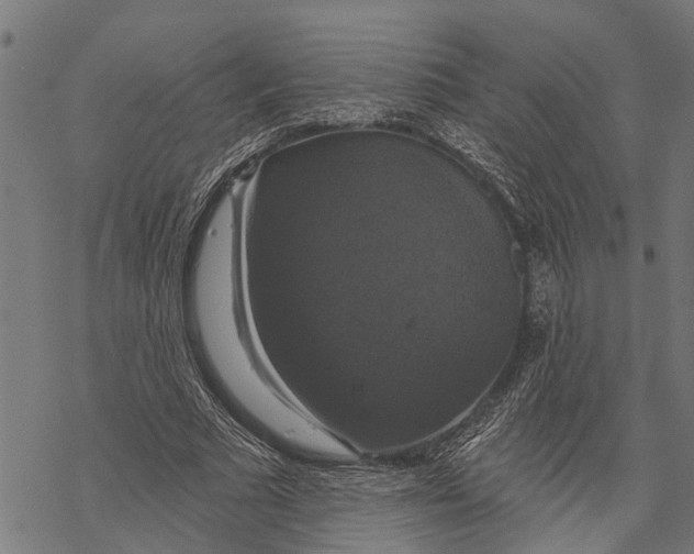 X0000068840681200605261641