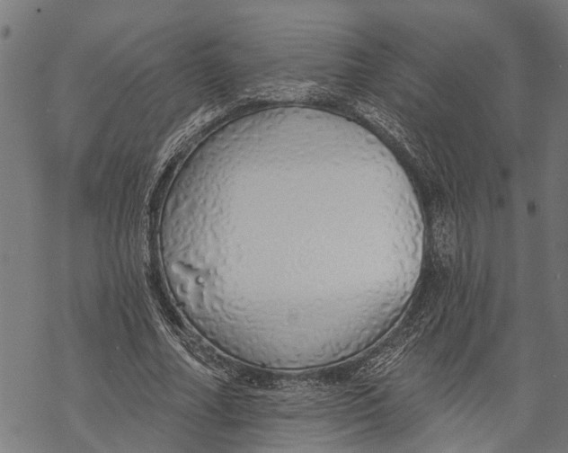 X0000068840682200605261641