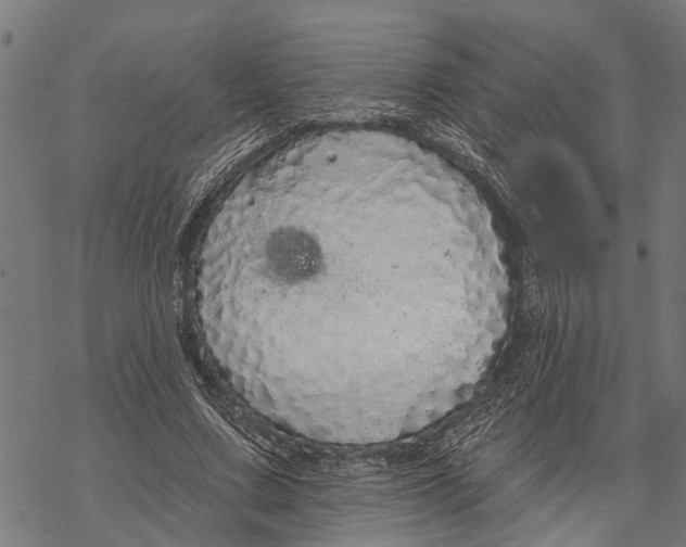 X0000068840683200605261641