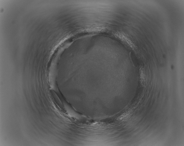 X0000068840684200605261641