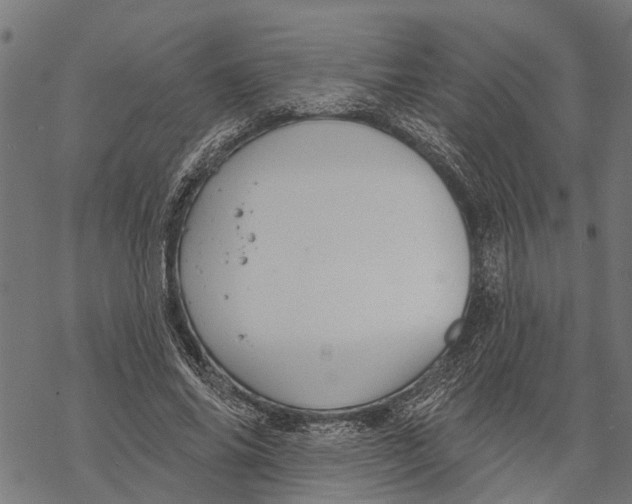 X0000068840686200605261641