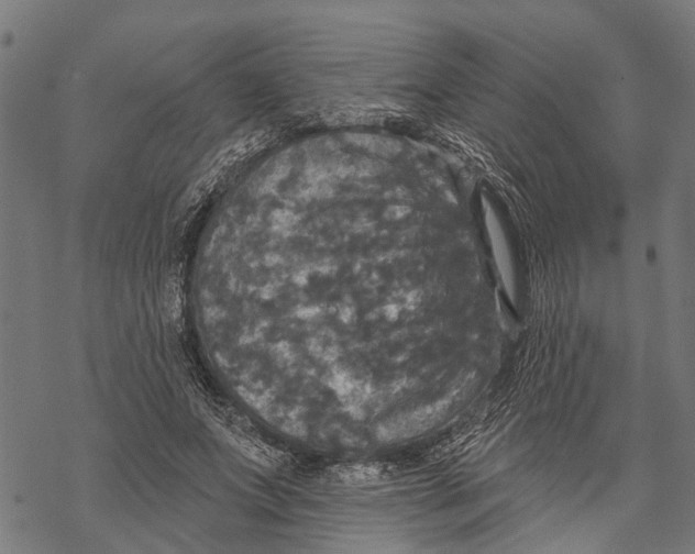 X0000068840687200605261641