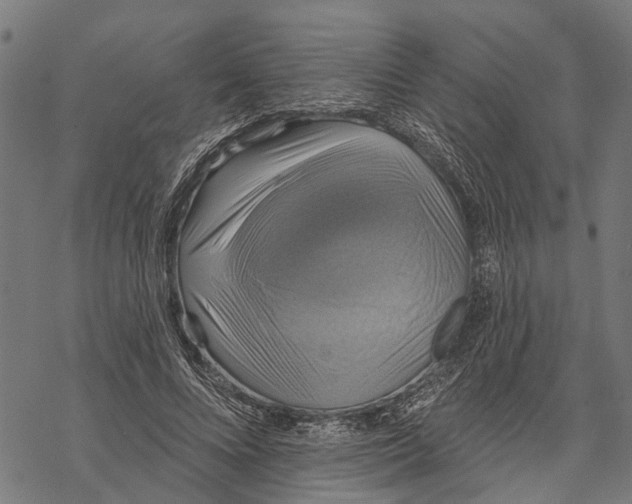 X0000068840688200605261641