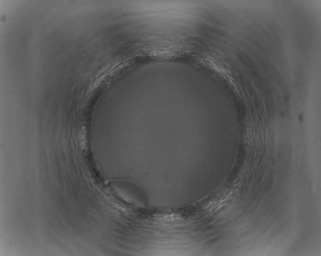 X0000068840689200605261641