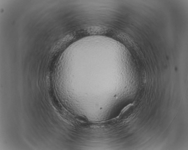 X0000068840690200605261641